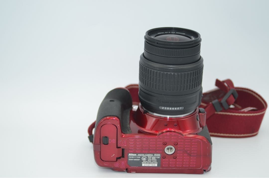 Nikon D5300 レッド ストロボ付き
