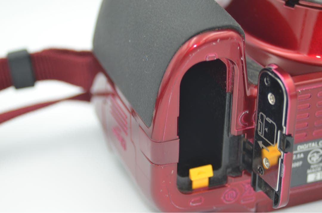 Nikon D5300 レッド ストロボ付き