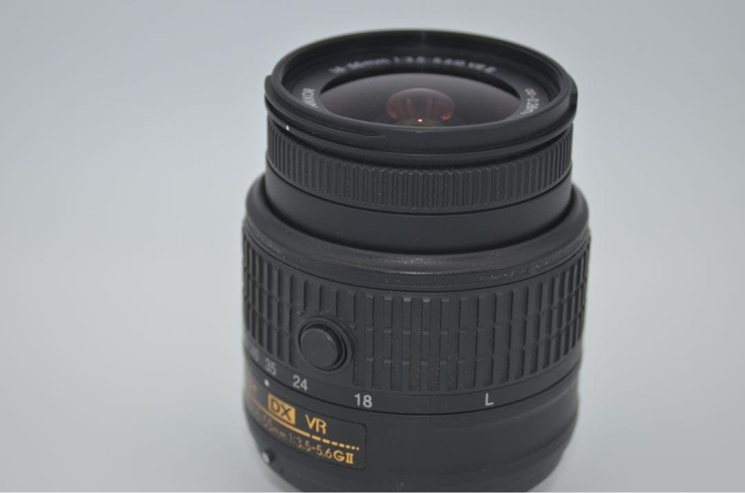 Nikon D5300 レッド ストロボ付き