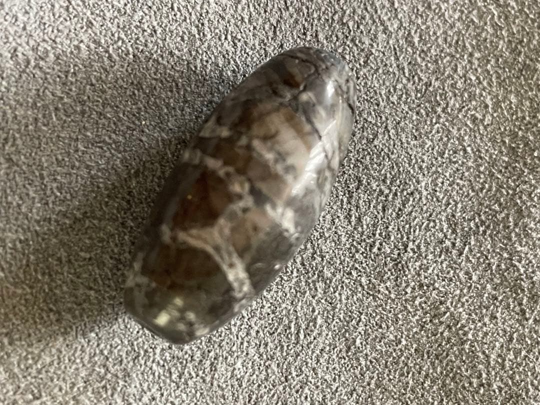 出土　双亀甲天珠