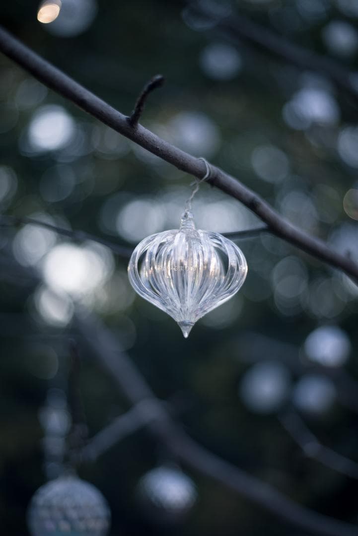 光学美品！隠れた銘玉！CONTAX Planar 50mm F1.7 AEJ