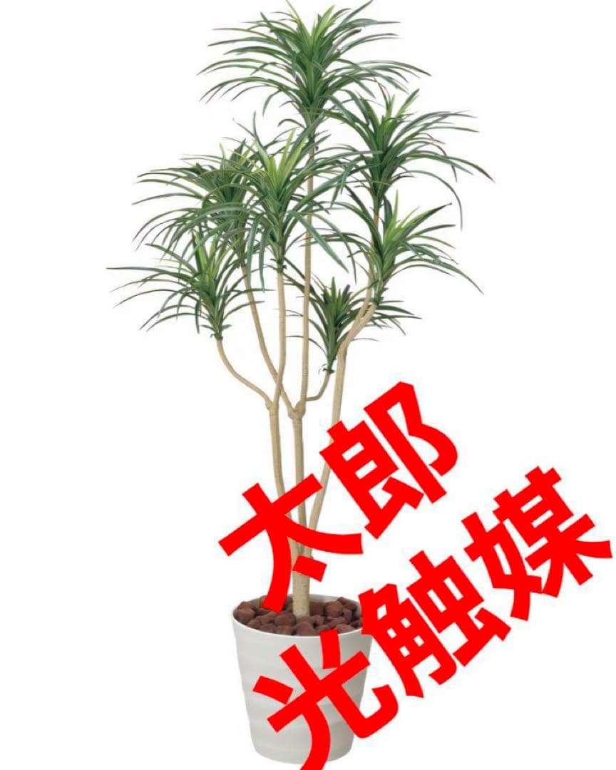 光触媒　人工観葉植物　ウォールグリーン　フェイクグリーン　ユッカ1.6
