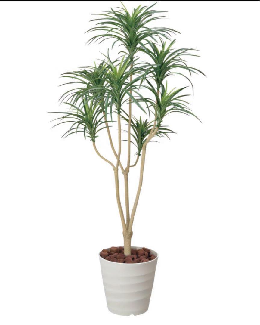 光触媒　人工観葉植物　ウォールグリーン　フェイクグリーン　ユッカ1.6