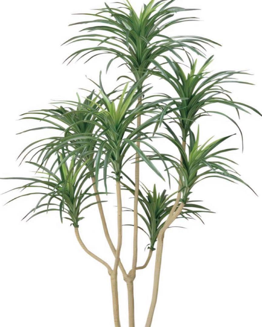 光触媒　人工観葉植物　ウォールグリーン　フェイクグリーン　ユッカ1.6