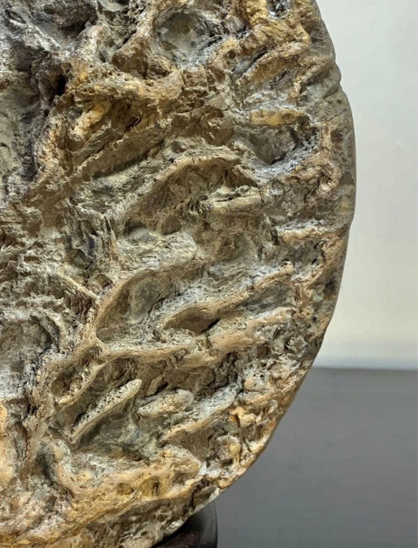 4190 メロン馬蹄石 盆栽骨董盆石鑑賞石観賞石中国古玩古美術太湖石山水景石