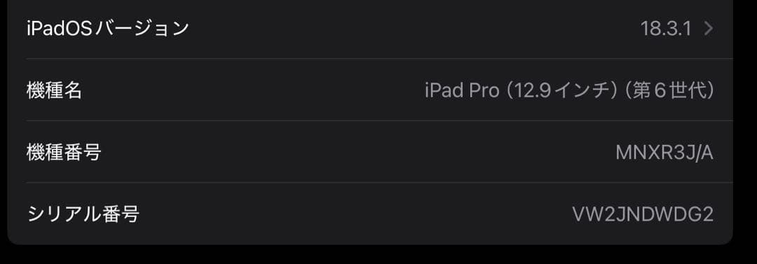 iPad Pro 第6世代（2022モデル）12.9 Wi-Fi スペースグレー