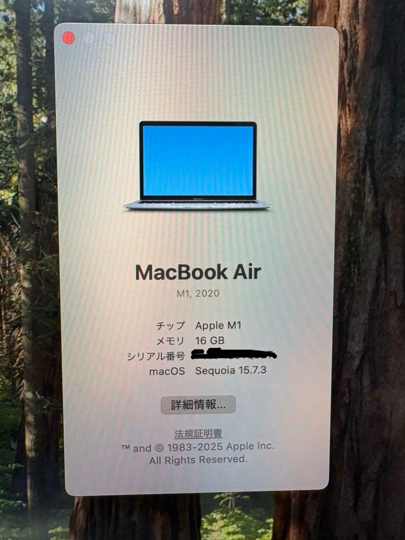 MacBook Air M1 13.3インチ メモリ16GB/SSD512GB