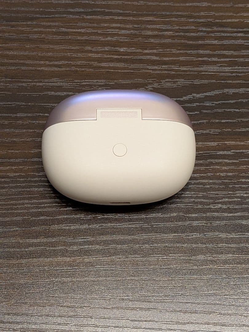 SHOKZ Open Dots One ショックス オープン イヤホン