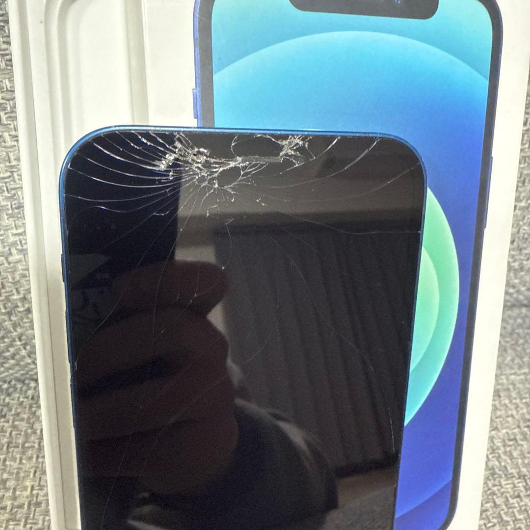 Apple iPhone 12 128G 青色 本体 充電器、箱付き