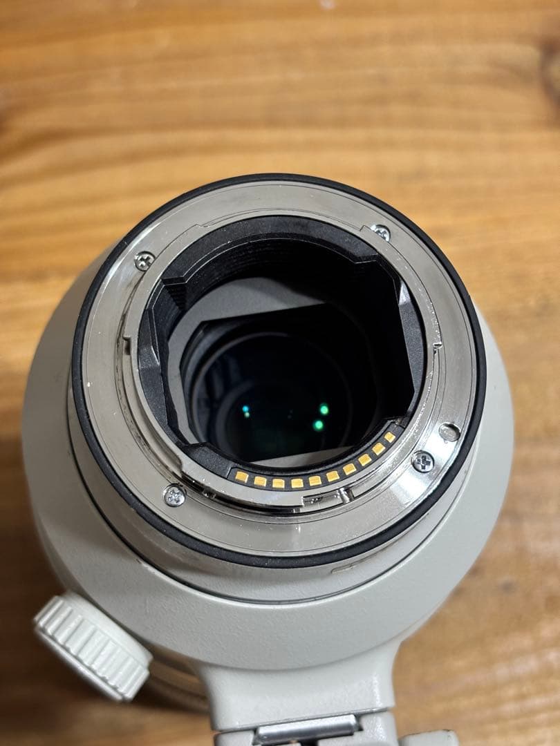 SONY FE 100-400mm F4.5-5.6 GM OSS ズームレンズ