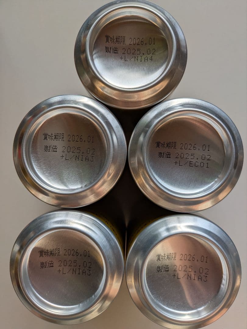 【賞味期限間近2025.12あり】エビスビール350ml 500ml各24本