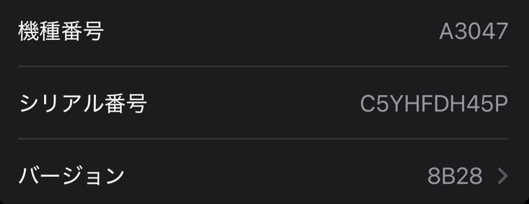 Apple AirPods Pro（第2世代）USB-C