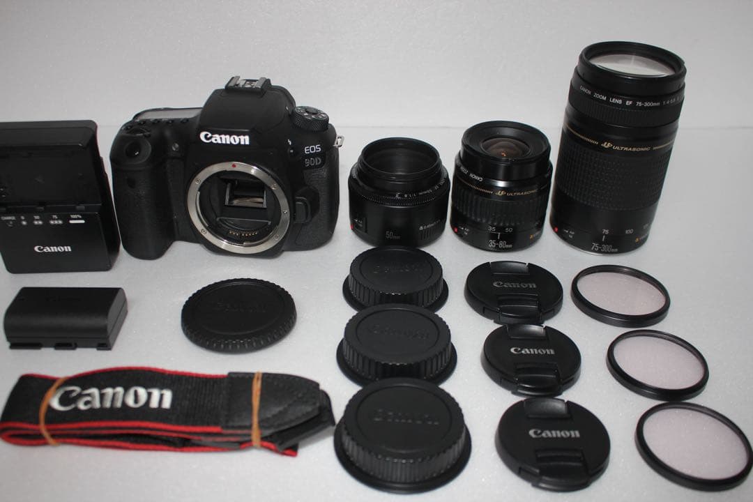デジタル一眼レフカメラCanon EOS 90D標準&望遠&単焦点レンズセット
