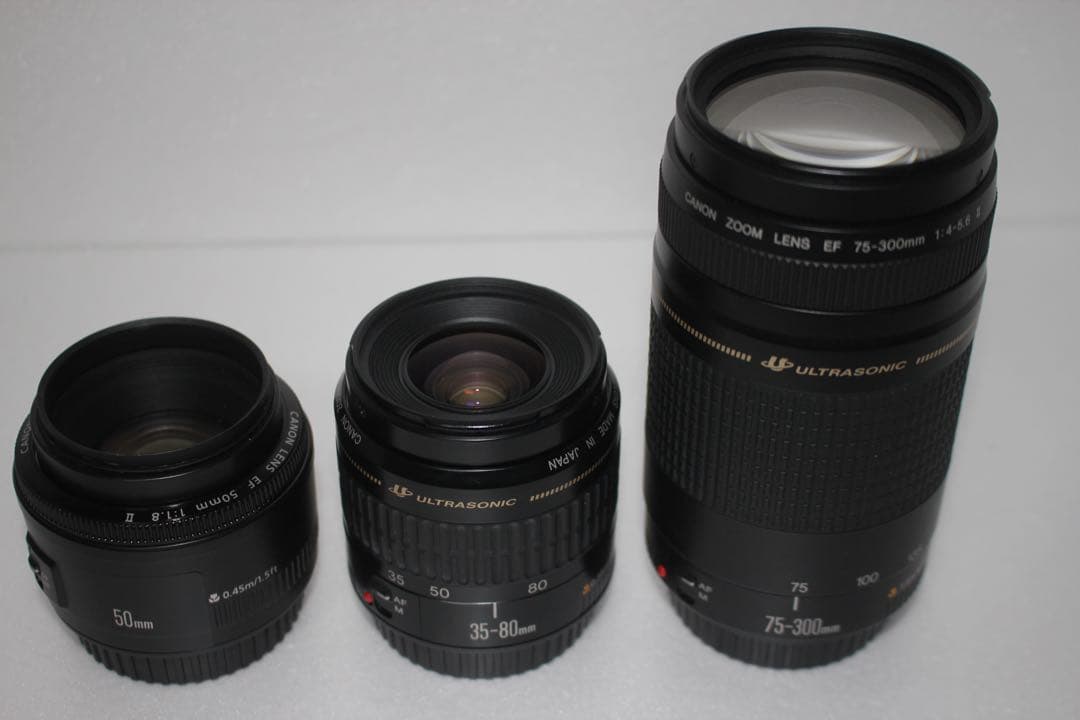 デジタル一眼レフカメラCanon EOS 90D標準&望遠&単焦点レンズセット