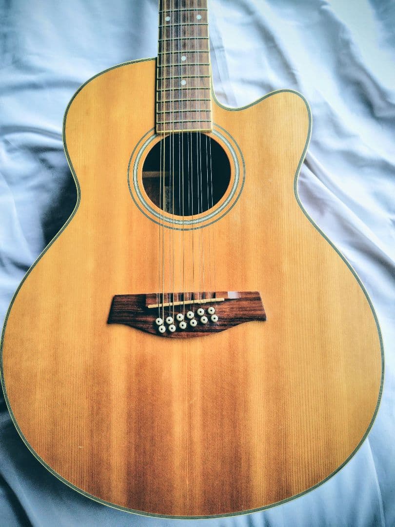 【12弦エレアコ】Ibanez ／弦高低め弾きやすい・ソフトケース付・値段応相談