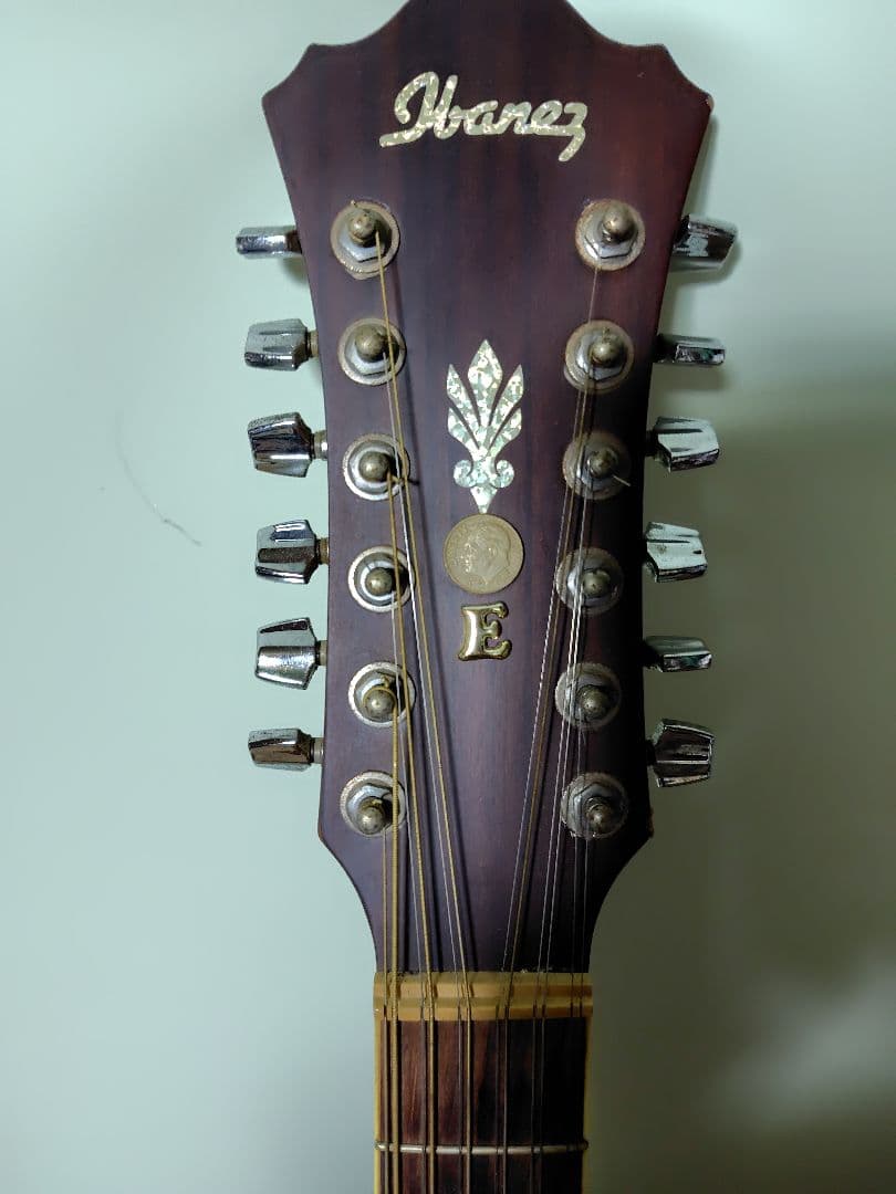 【12弦エレアコ】Ibanez ／弦高低め弾きやすい・ソフトケース付・値段応相談