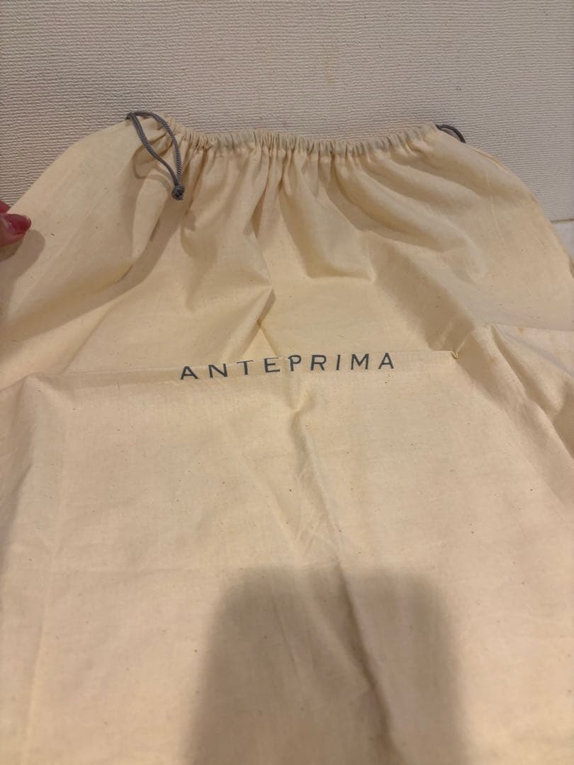 アンテプリマ　ワイヤーバッグ イントレッチオ　ブラック　黒