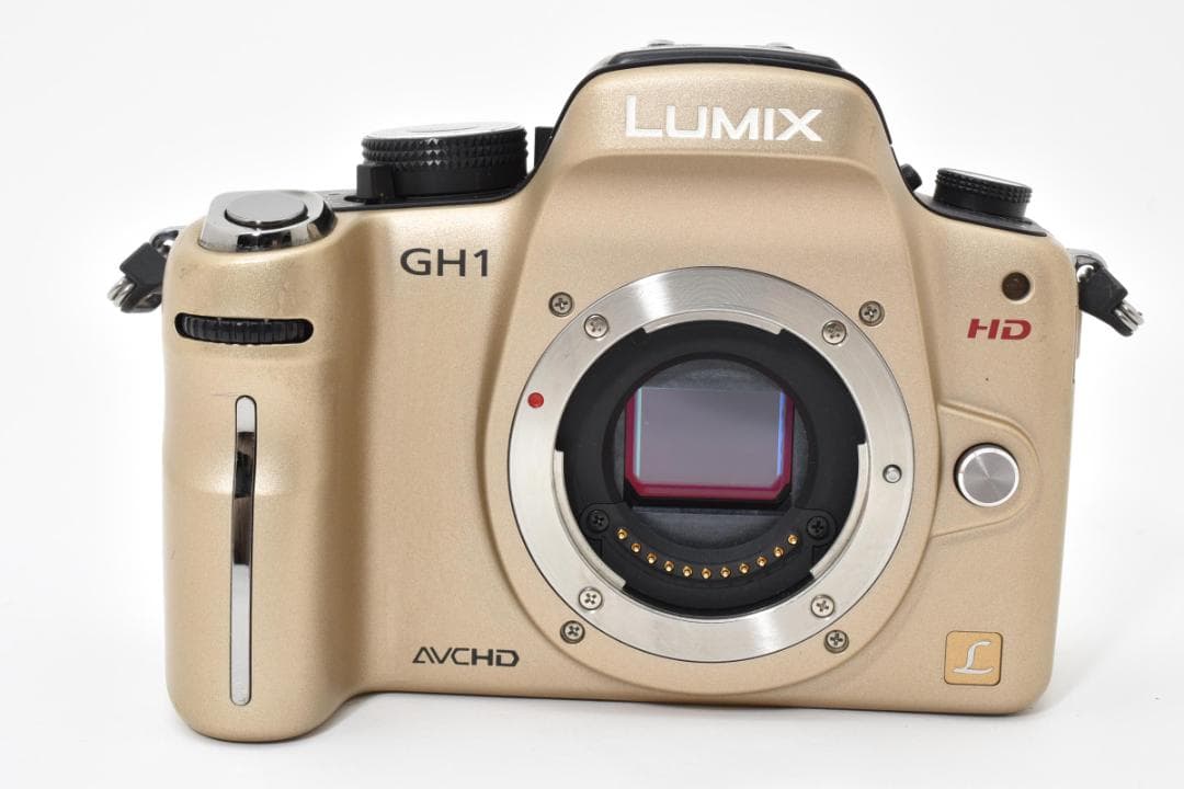 ★美品★パナソニック LUMIX DMC-GH1 ボディ #20853
