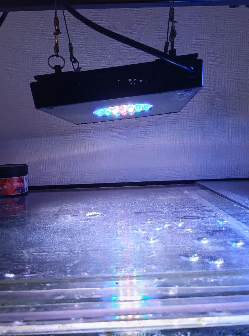 ライト・照明器具 radiong4