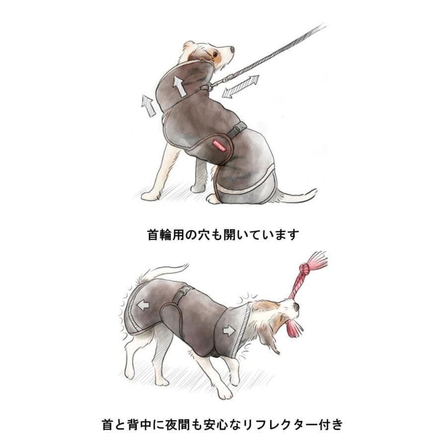 ポムッパ　ペルス　ペトロール　サイズ60