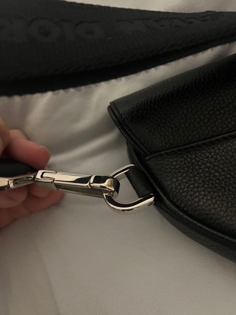 Dior サドルバック