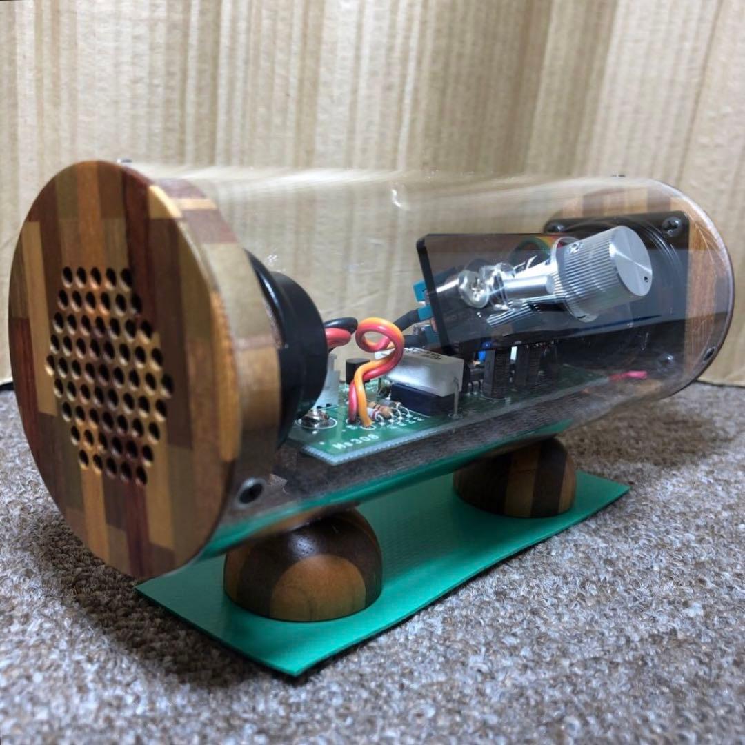 M’s System SK0815 波動スピーカー アンプ内蔵 スケルトンモデル