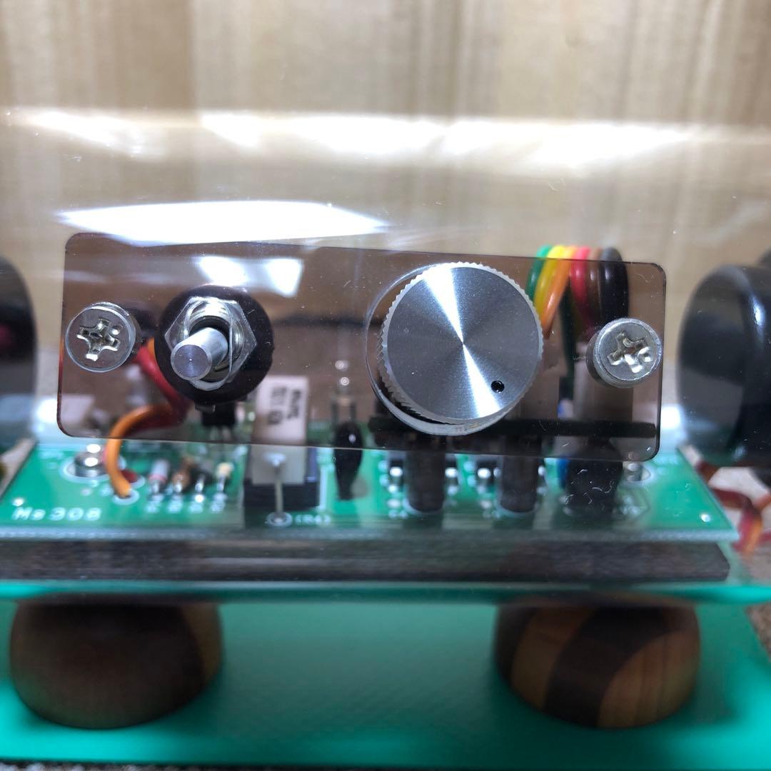 M’s System SK0815 波動スピーカー アンプ内蔵 スケルトンモデル