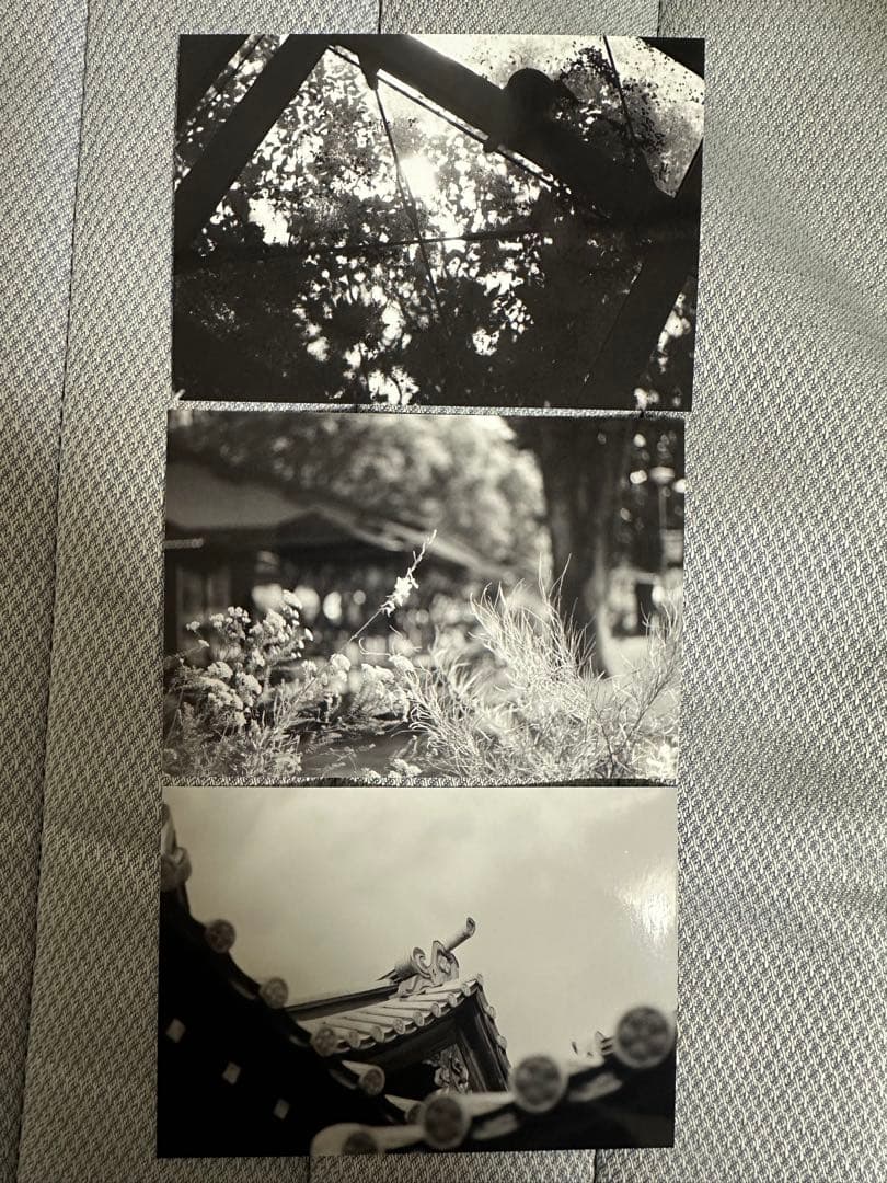 ZEISS IKON Super Ikonta 532/16 美品