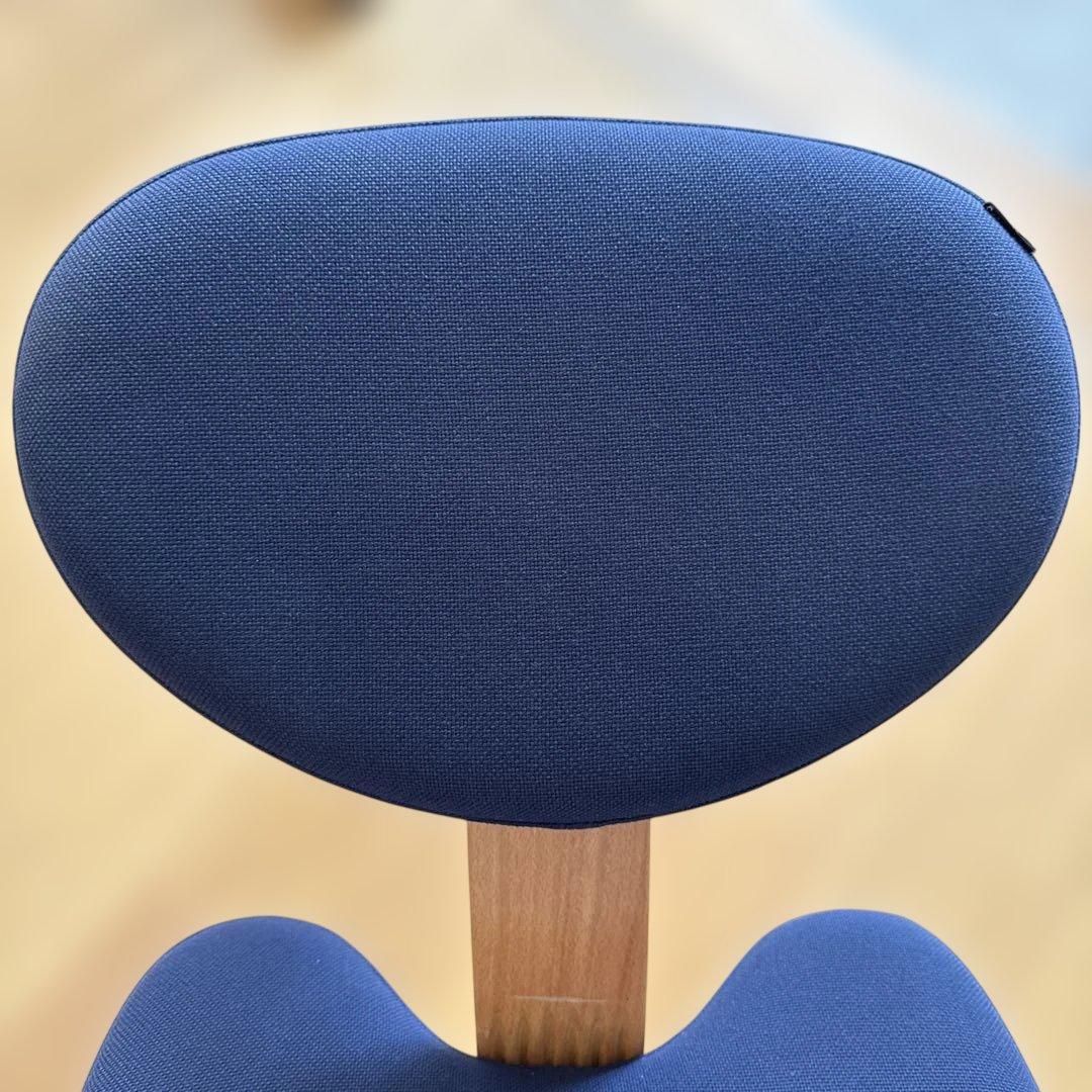 Balance Easy バランスイージー サカモト