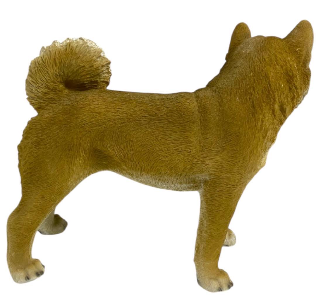 リアル！本物そっくり！ 等身大！？ 柴犬　置物　25オ411