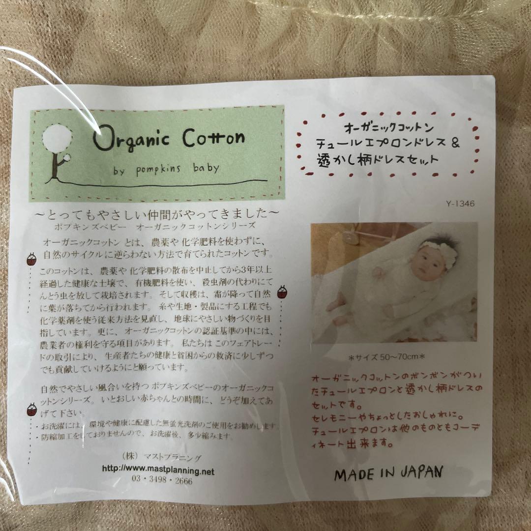 てんとうむし6点セット