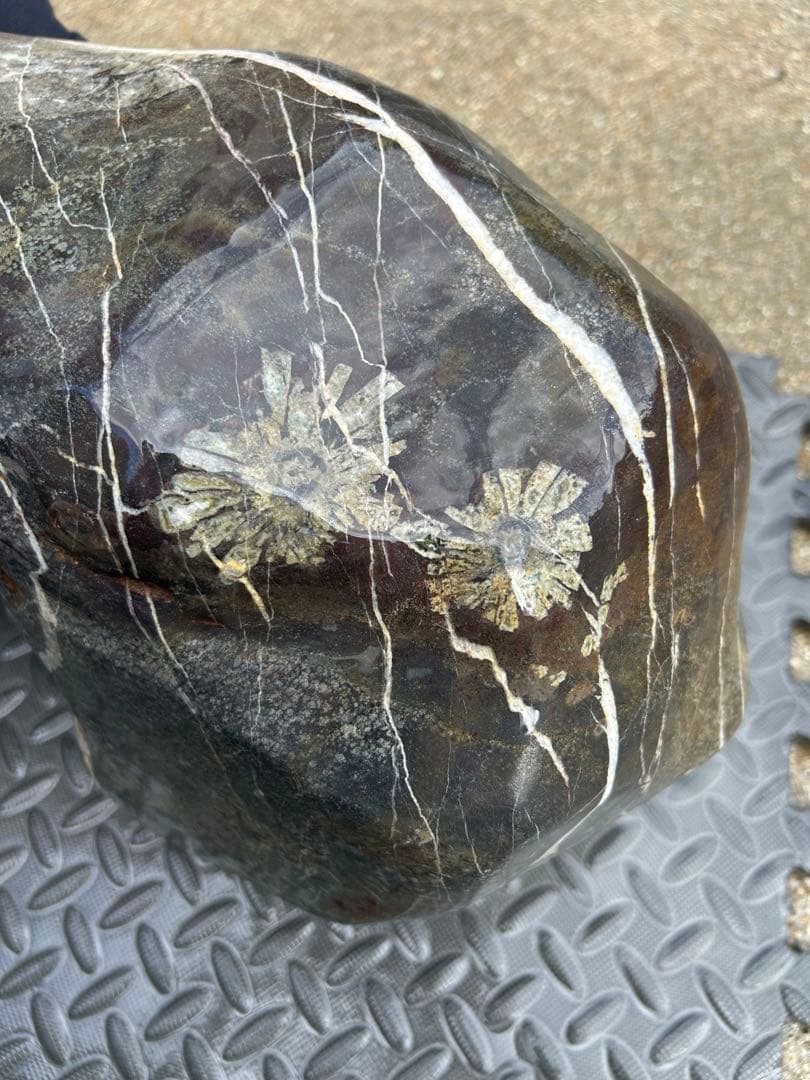 つくばい 菊花石 25kg 鑑賞石 水石 天然石 自然石 盆石