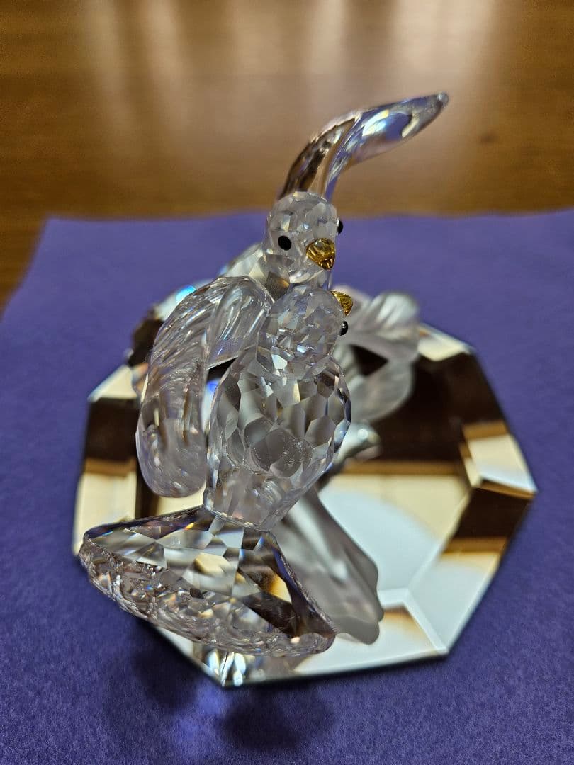 スワロフスキーのキジバト