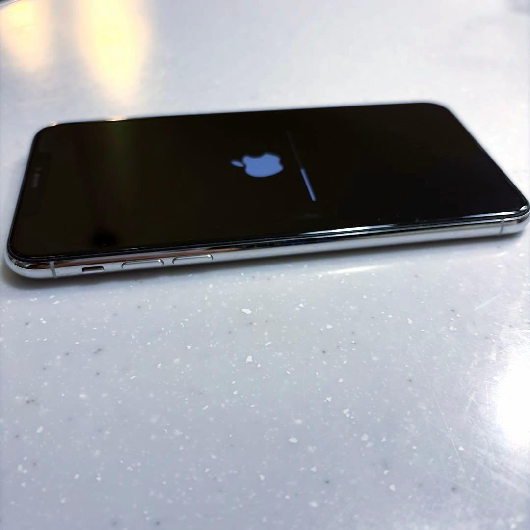 m*i様 Apple iPhone 11 Pro Max 256GB