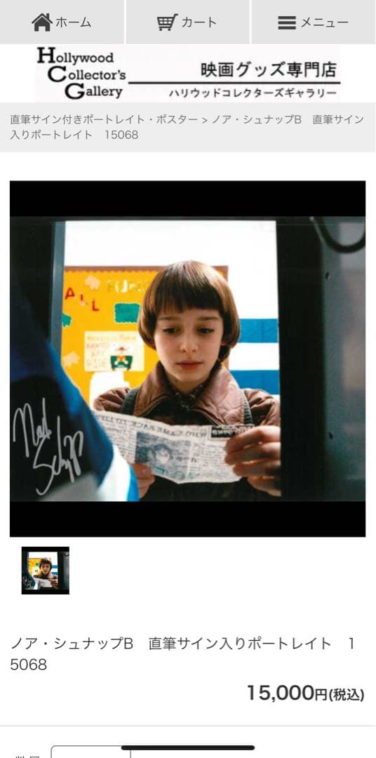 【バラ売り不可】ストレンジャー・シングス 直筆サイン入りポートレート