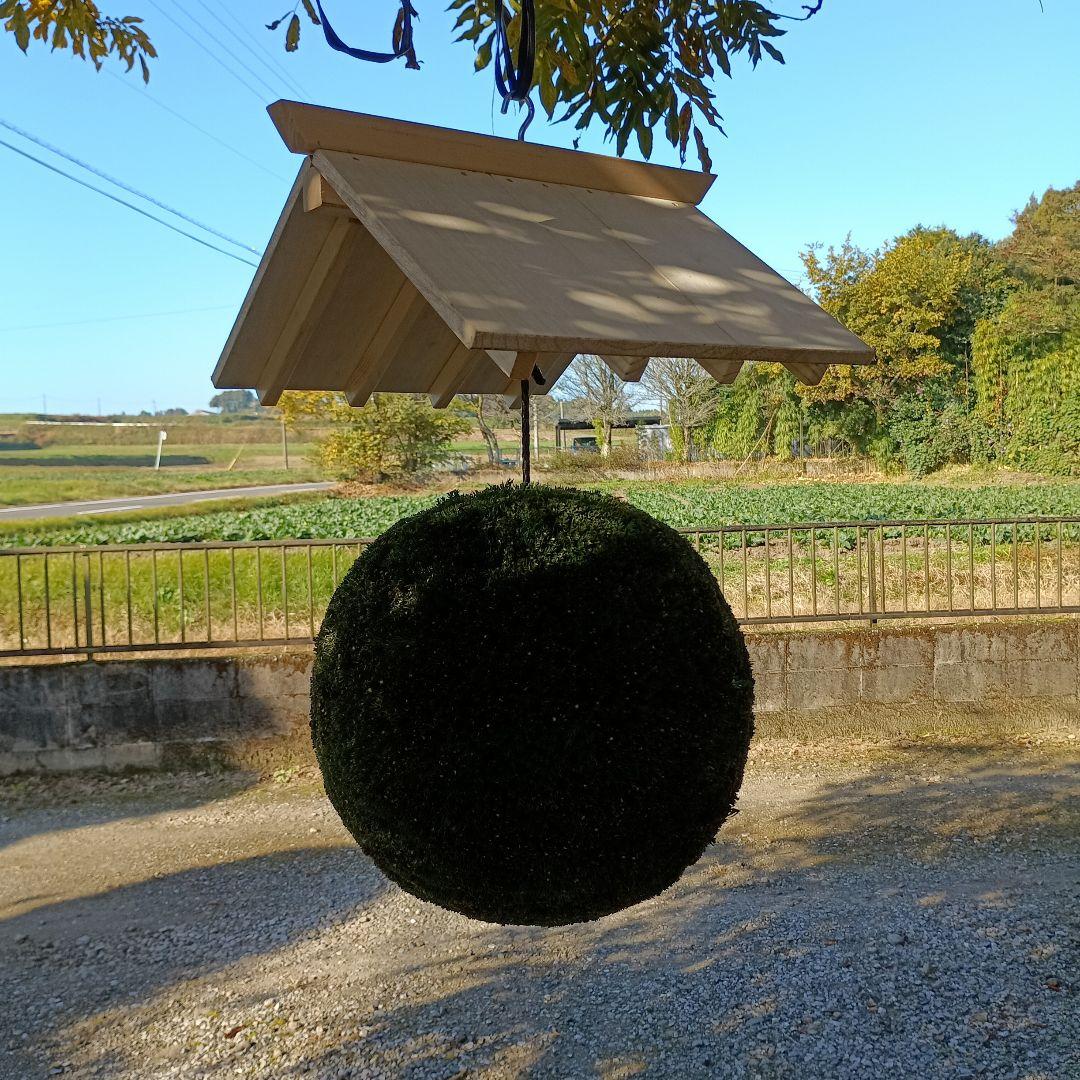 杉玉　直径37ｃｍ 屋根付き