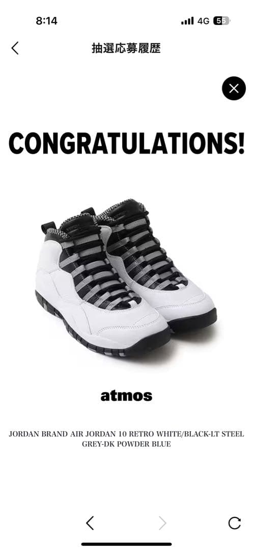 SHIN 様Air Jordan 10 レトロ ライト スティール グレイ