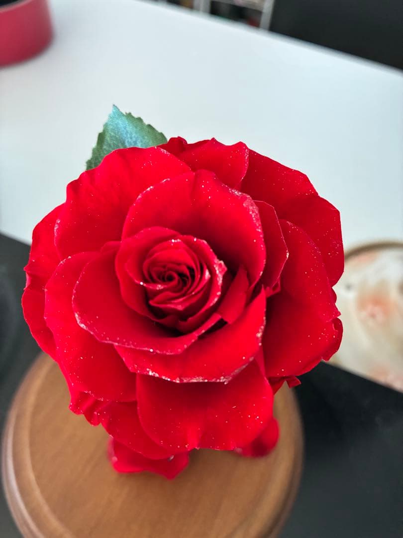 赤いバラのプリザーブドフラワー ガラスドーム