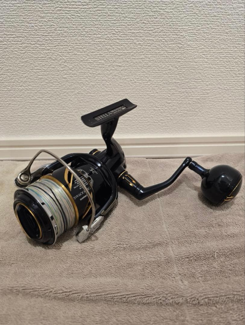 20ステラ　SW6000HG