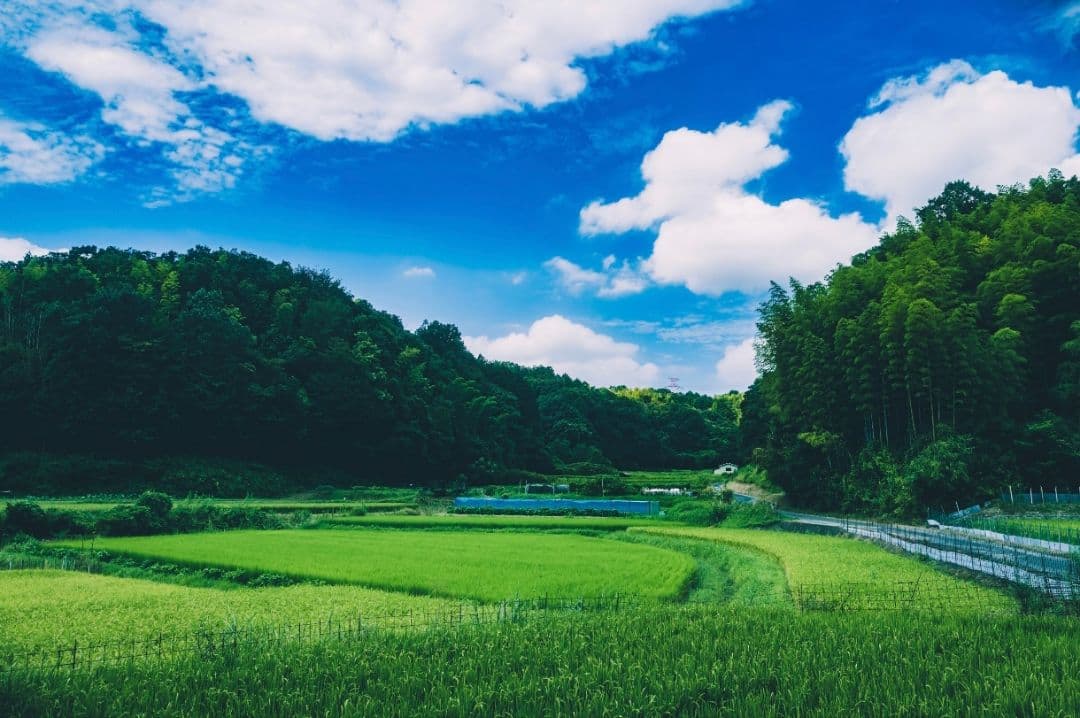 「【元箱付】LEICA Q2 完動品ブラックミスト・予備バッテリー付」作例有