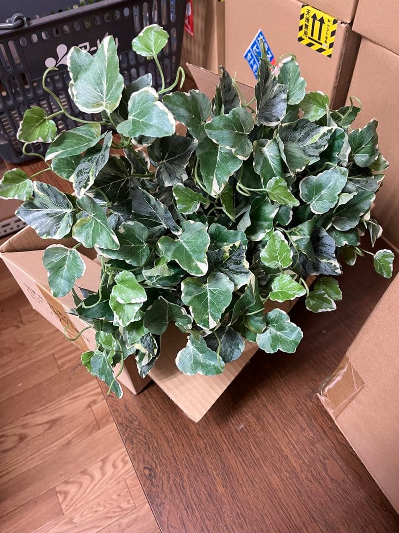 (熊本造花)※沢山あります！ご相談ください)セット 多色アレンジメント用