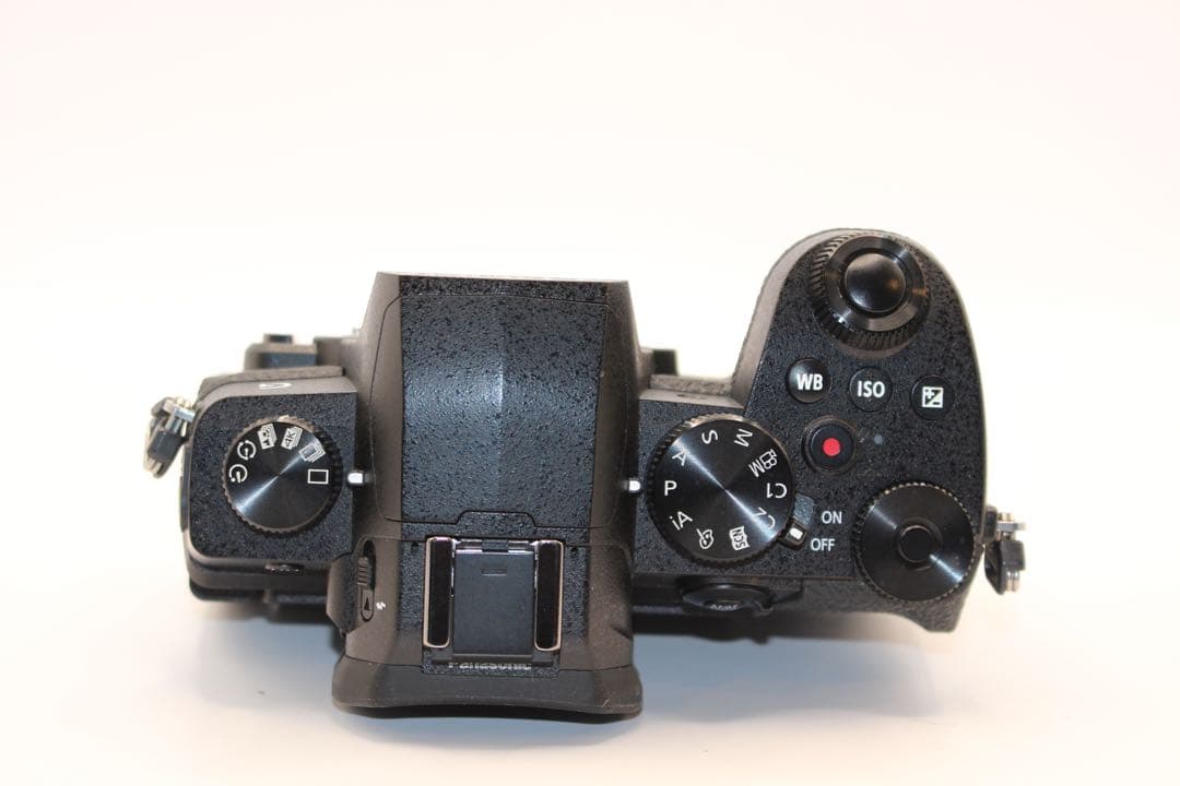 ★ショット数9289回★ LUMIX DC-G99 ボディ　ミラーレス