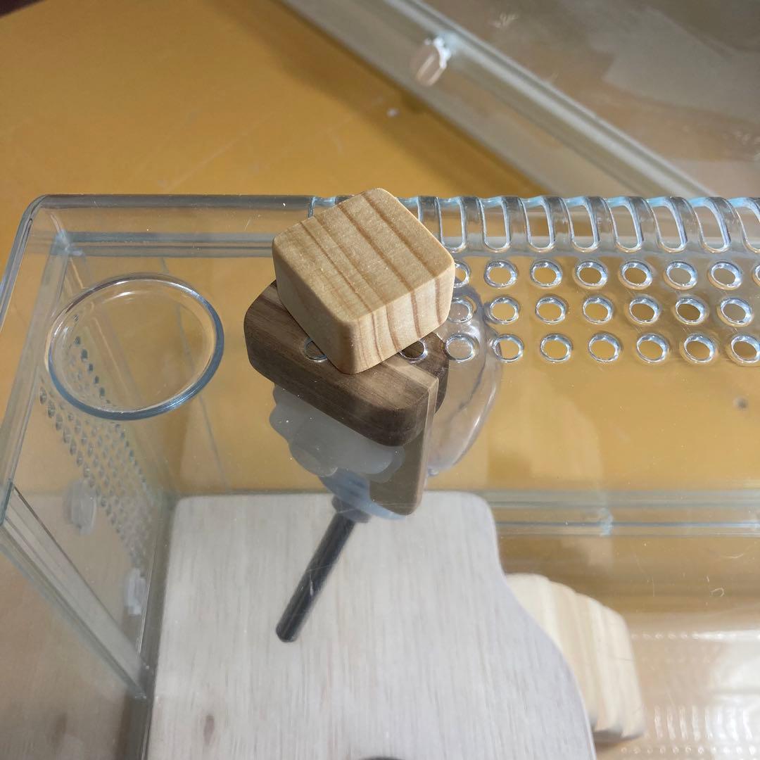 ちむた様確認用　グラスハーモニー用　フラットアクアボトル　新型給水機ホルダー