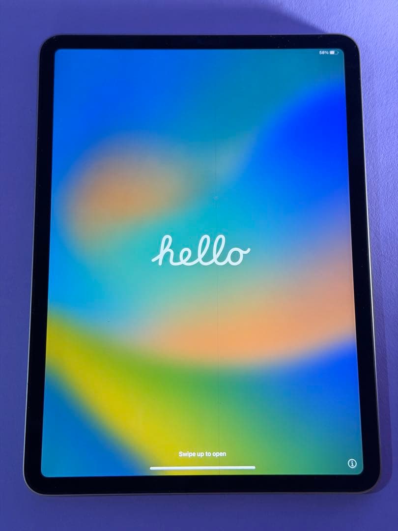 Apple iPad Pro (第4世代) 256GB wi-fiモデル