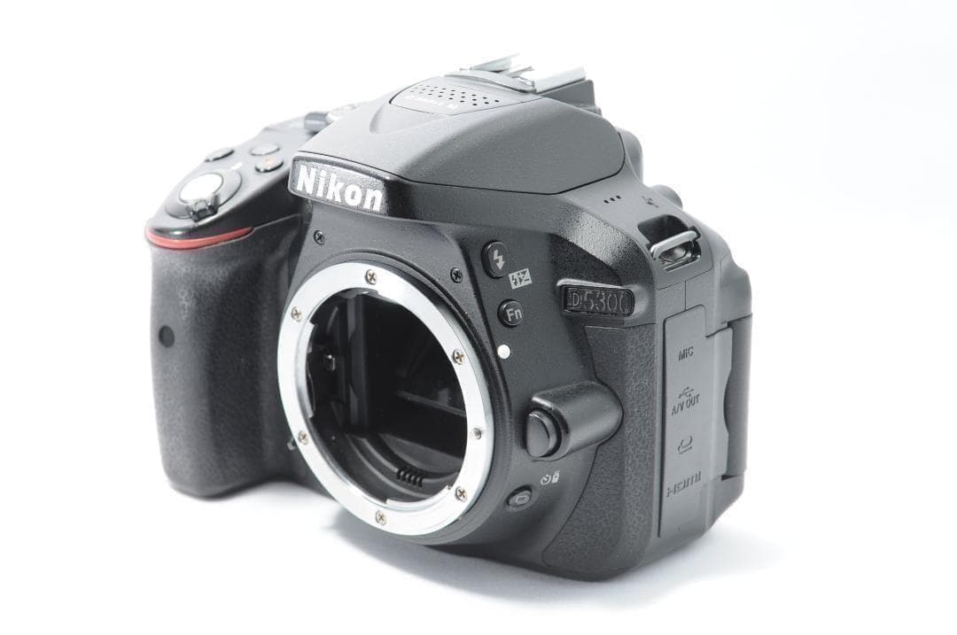 風景に最適な望遠レンズセット❗️Nikon D5300✨Wi-Fiでスマホ転送