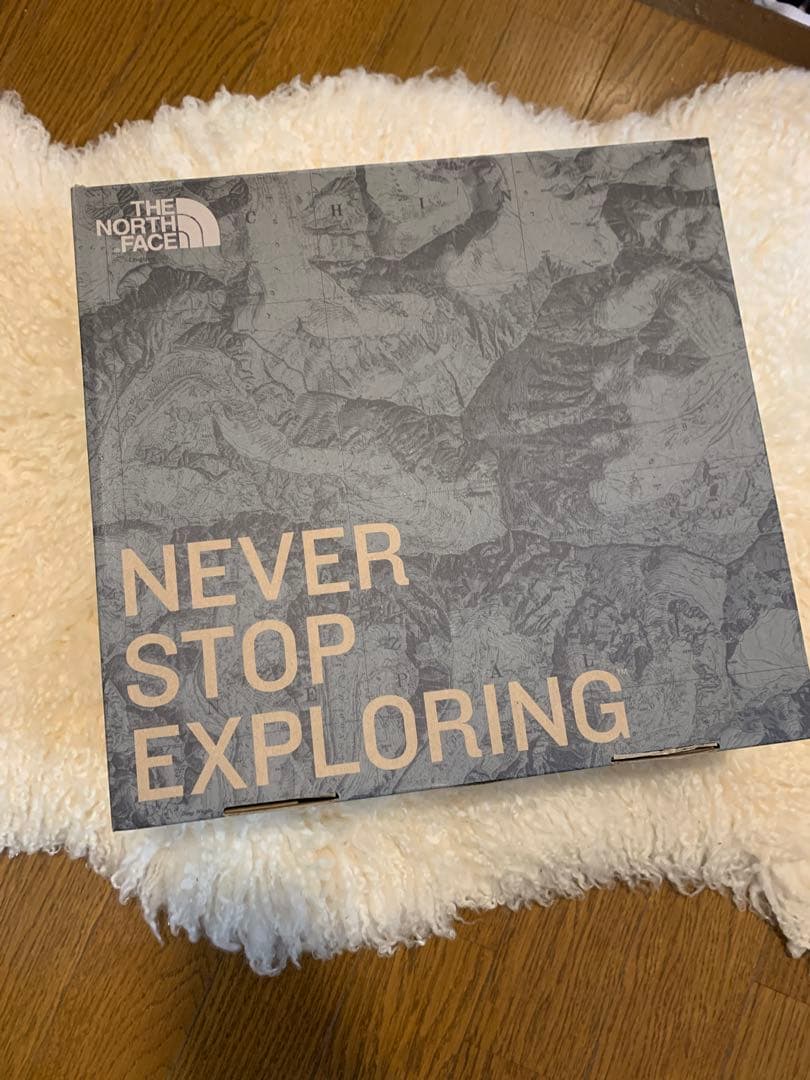 ザノースフェイス ショートブーツ 25㎝ ヌプシ PT NFW51686