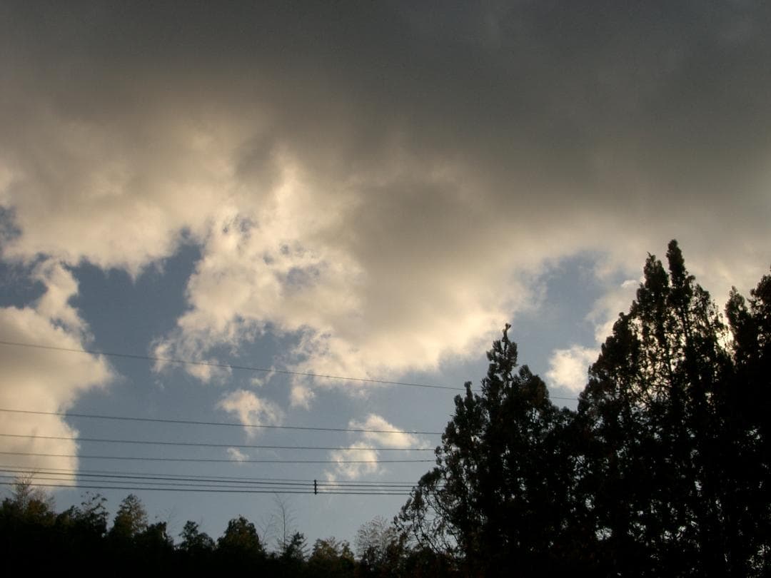 カシオ EXILIM EX-Z3 オールドコンデジ デジカメ バッテリー2個付き