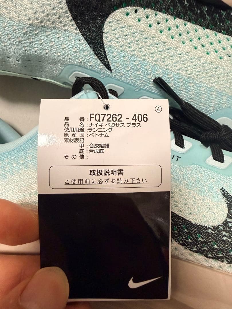 ナイキ ペガサス プラス　29.0
