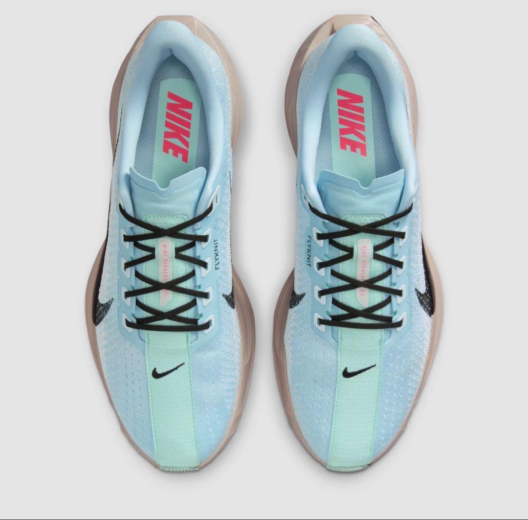 ナイキ ペガサス プラス　29.0