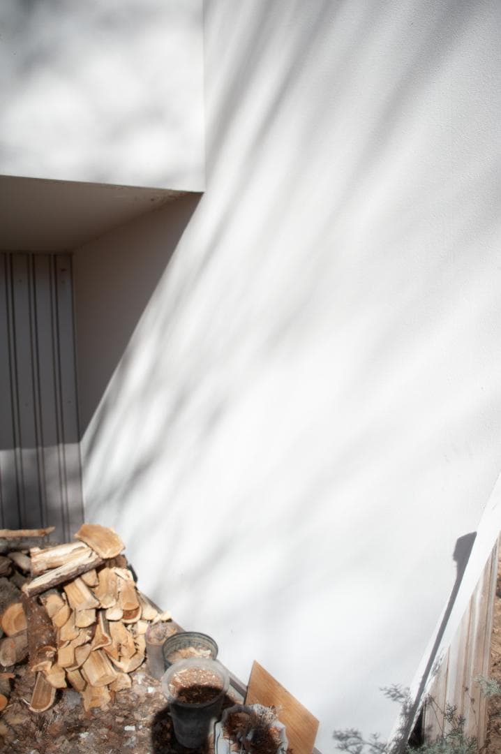 【作例あり】AI Nikkor 24mm F2S